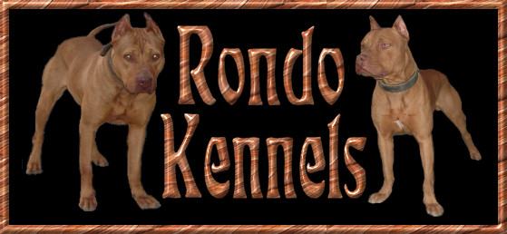 Hemphill best sale pitbull kennels